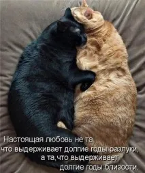давно