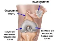 Діти народжуються без колінних чашок, коли з’являються у новонароджених My Life діти