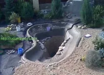 своїми
