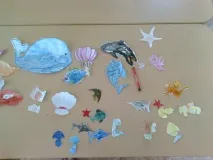 морів