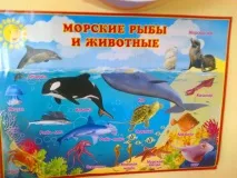 морів