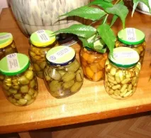 Сад без кордонів культури