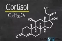 кортизол
