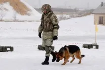 Як службових собак навчали шукати міни міни