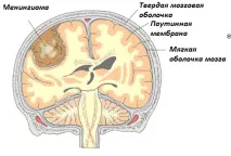 мозкових