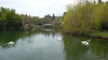 Пам’ятки та розваги Адлера адлера