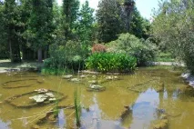 Пам’ятки та розваги Адлера розваги