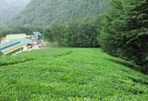Пам’ятки та розваги Адлера розваги