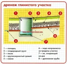 подпочвените