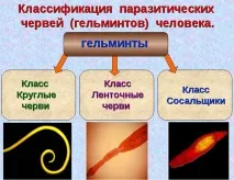 ефективний