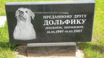 Чи є в Білорусі легальні цвинтарі для свійських тварин легальні