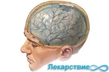 Енцефалопатія дисциркуляторна, печінкова, перинатальна мозку