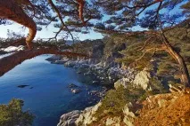 Ще 13 пляжів у Примор’ї дозволено для купання купання