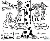 Фізкульт привіт! Чим корисний березовий сік Пити чи не пити Ось у чому питання фізкульт