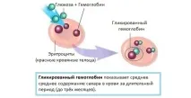 Гемоглобін глікований норма і що показує аналіз показує