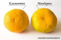 Гібрид мандарину та апельсину, лимону та мандарину - Популярне про здоров’я апельсину