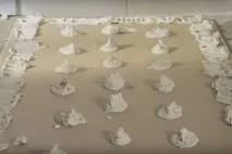 Гіпсокартон на стелю без каркасу гіпсокартон