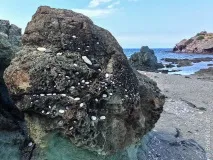 Де краще відпочивати на Кіпрі кіпрі