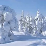 Гірськолижні курорти Свердловської області області