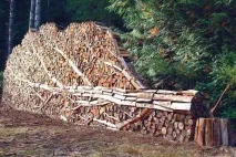 Ідеї використання непридатного матеріалу на дачі використання