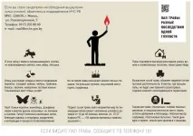 Інфографіка чомусь не можна підпалювати суху траву чомусь