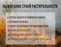 Інфографіка чомусь не можна підпалювати суху траву можна