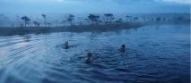 факти