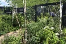 Як збільшити простір у маленькому саду простір