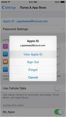 Як видалити обліковий запис на iPhone Налаштування iPhone iphone