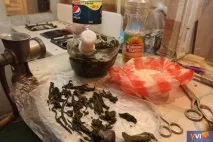 З чого роблять Насвай чого