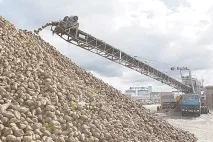 Як роблять цукор на Слуцькому цукрорафінадному комбінаті цукор
