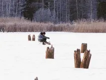 водоеми