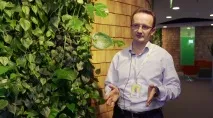 програміста
