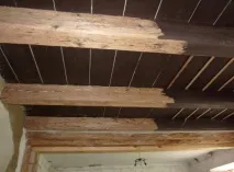 стелю