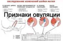 протичат