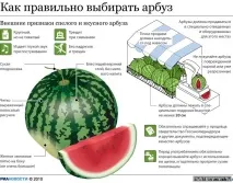 правильно