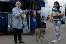 Як собака Джулька став Джульєттою, знайшов будинок і собаче щастя - Суспільство - Новини - TVNET - будинок