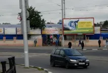 Як собака Джулька став Джульєттою, знайшов будинок і собаче щастя - Суспільство - Новини - TVNET - джульєттою