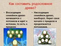 Як скласти родоводу - Презентація 8783-4 скласти
