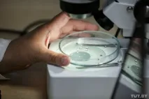 виробляють