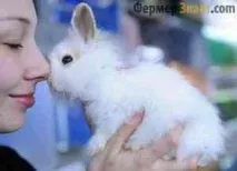 Як доглядати за кроликом у квартирі, Питання проктології доглядати