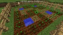 Як у Minecraft PE займатися сільським господарством займатися