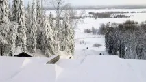 Кам’яний мис – гірськолижний комплекс гірськолижний