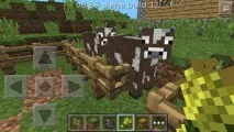 Як у Minecraft PE займатися сільським господарством minecraft