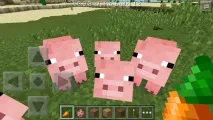 Як у Minecraft PE займатися сільським господарством minecraft
