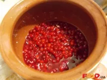 Калинник - Кулінарні рецепти на калинник