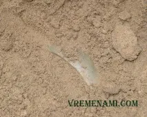 шукача