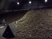 Картопля свіжа в Республіці Марій Ел інтернет-магазини та компанії з вартістю в каталозі свіжа