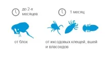 собак