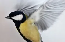 потрібно